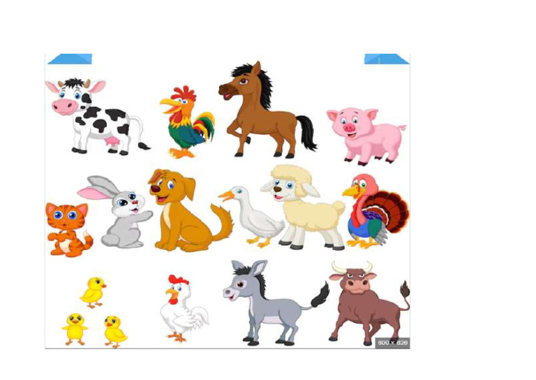 Animales de La Granj | PDF