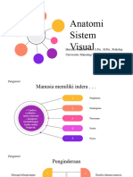 Anatomi Sistem Visual