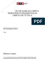 El Proceso de Habeas Corpus