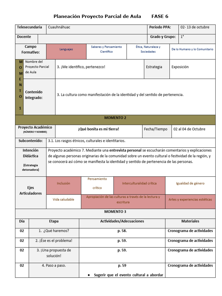 Formato de Planeación de Un Proyecto Parcial de Aula | PDF