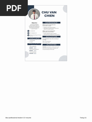 Blue Professional Modern CV Resume