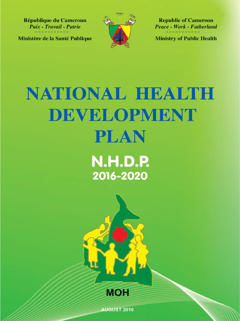 CAMEROON NATIONAL DEVELOPMENT STRATEGY 2030 PDF visual data 2