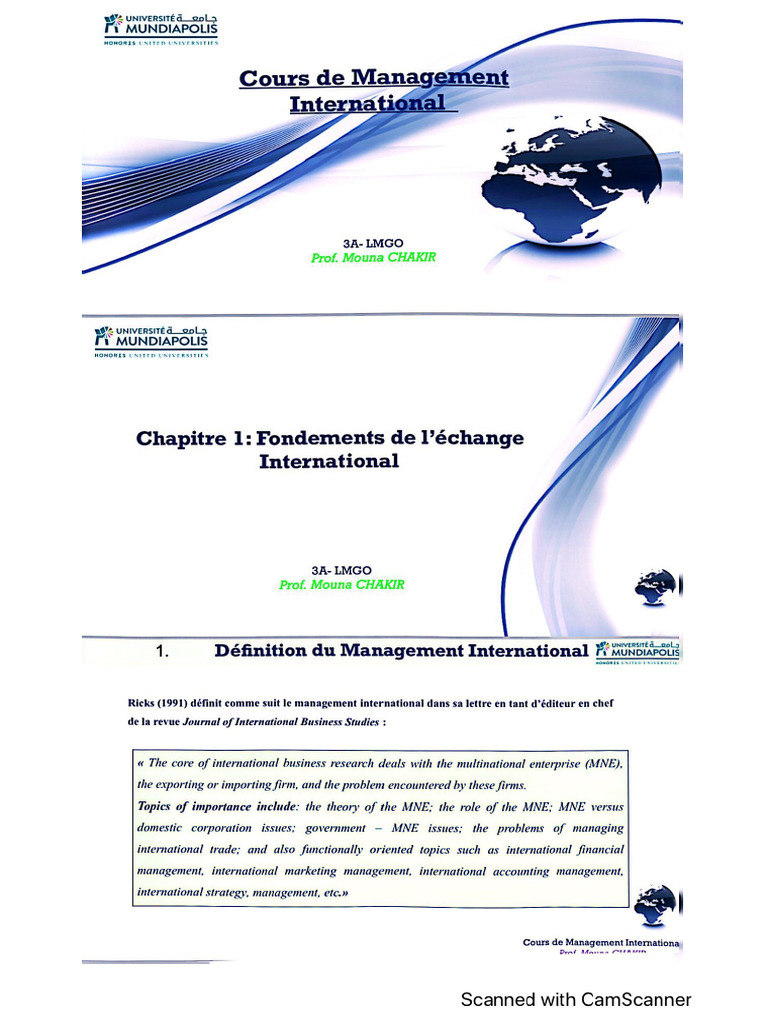 Cours Management International | PDF