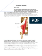 Anterioir Pelvic Tilt