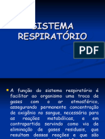 Sistema Respiratório