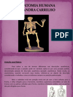 Osteologia  