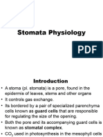 Stomata Physiology