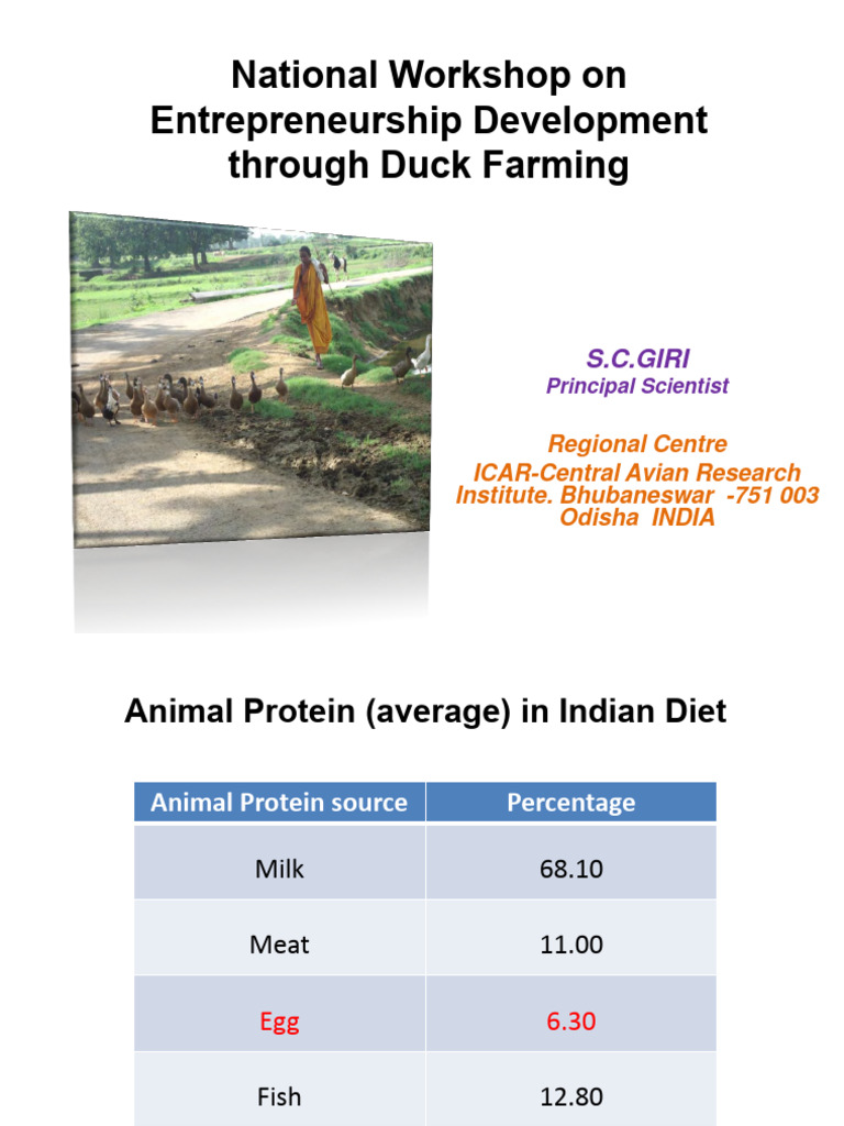 3618230720presentation Duck Farming | PDF | Livestock | Poultry