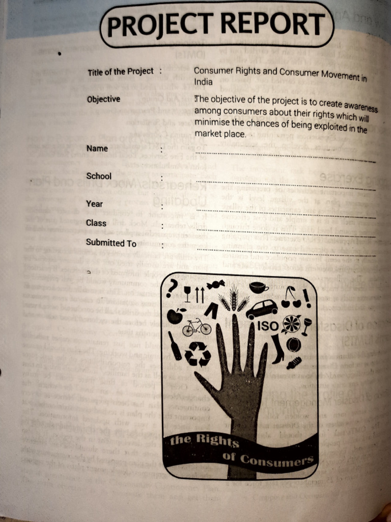 Social Consumer Awareness | PDF