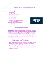 Project on Photosynthesis(Phillour Girls)