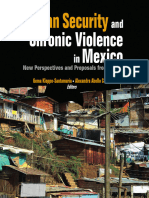 Human Security and Chronic Violence in Mexico