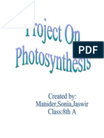 Photo Synthesis
