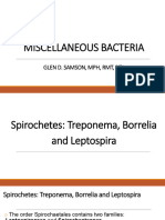 Misc Bacteria