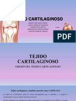 Tejido Cartilaginoso