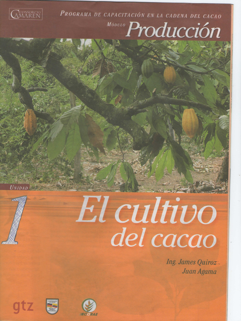 Cacao 1 Pdf