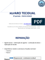 Patologia Geral - Reparo Tecidual