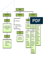 Mapa Conceptual de Lipidos