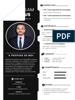 Professional CV ABDESSLAM NAMOUS