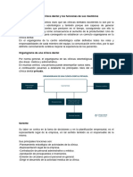 Organigrama de Una Clínica Dental y Las Funciones de Sus Miembros