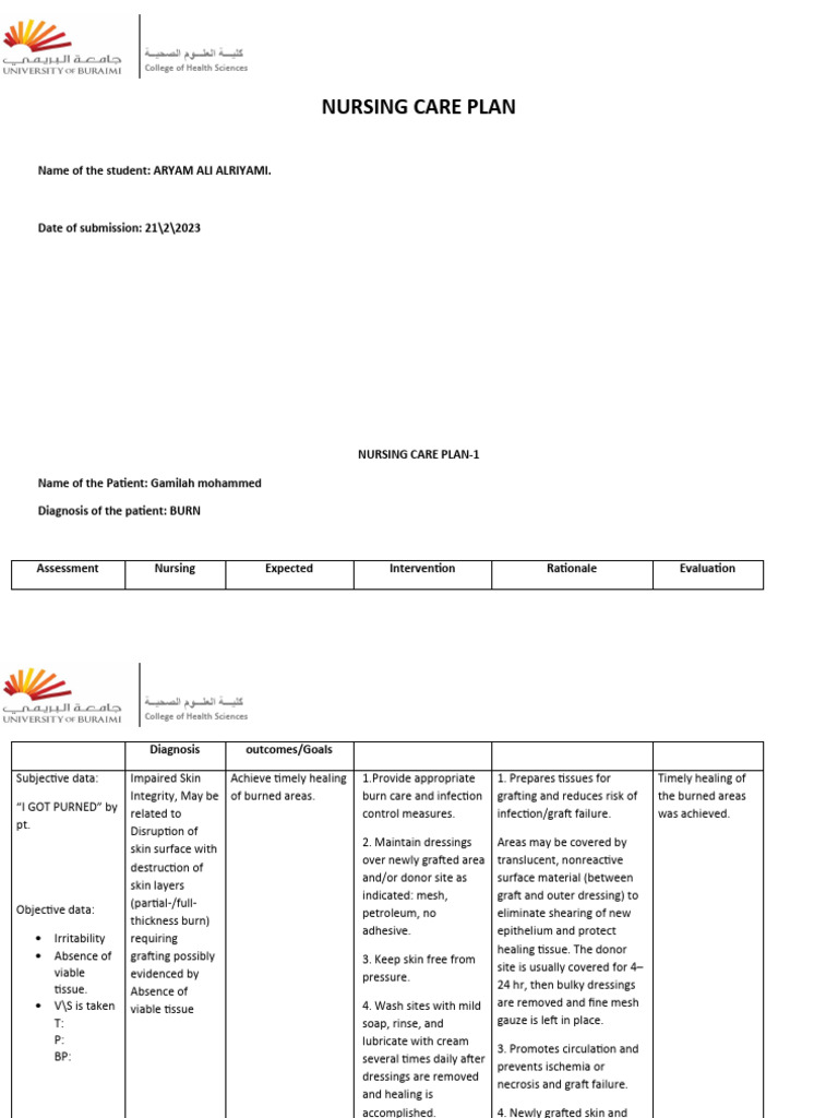 15-NURSING CARE PLAN Burn | PDF