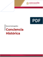 Conciencia historica - sintetico