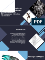 Wepik Analogia e Homologia Em Orgaos Compreendendo as Similaridades e Diferencas Na Estrutura Anatomica 20230825210020PQEq