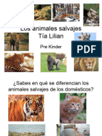 Animales Salvaje2