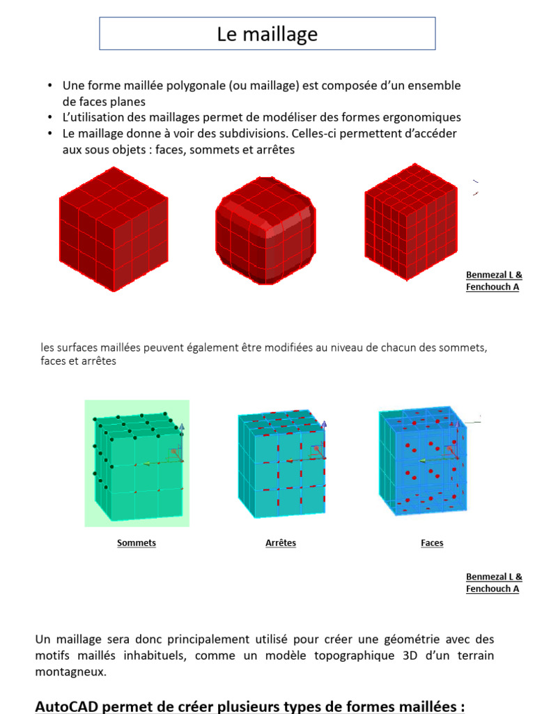 Types de maillage en modélisation 3D | PDF