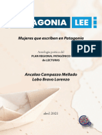 Patagonia Lee