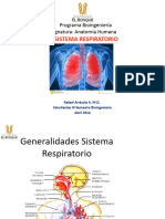 Clase 7 Sistema Respiratorio