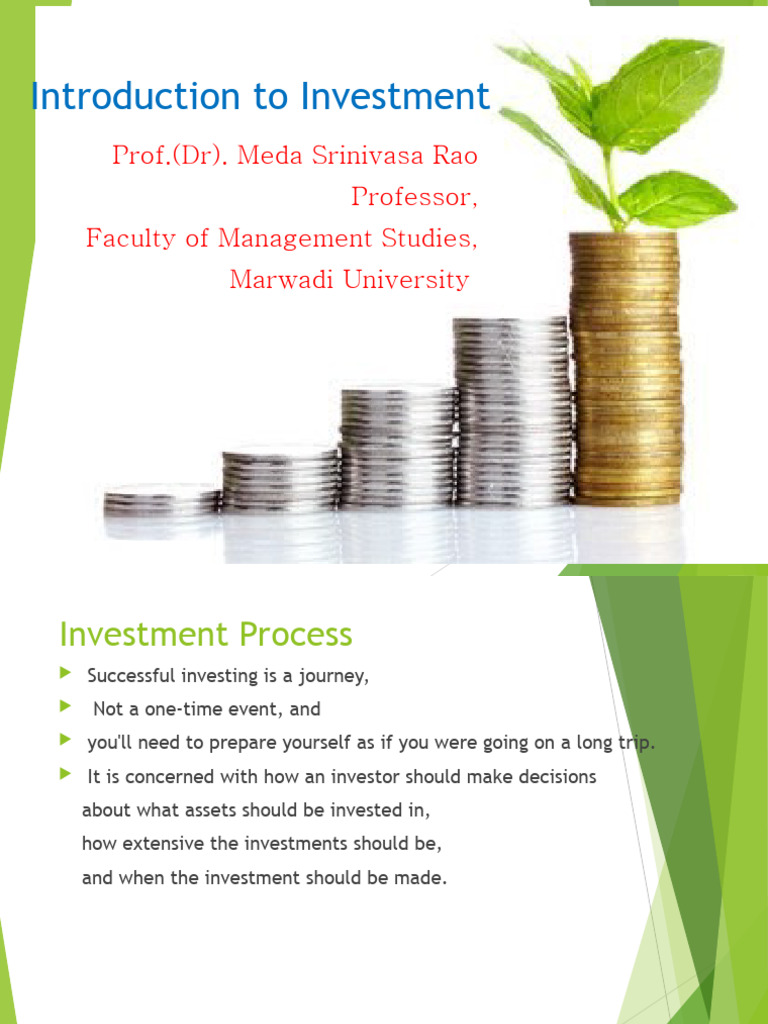 Investment Process PDF