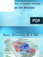 HISTOLOGY Normal Cell Structure