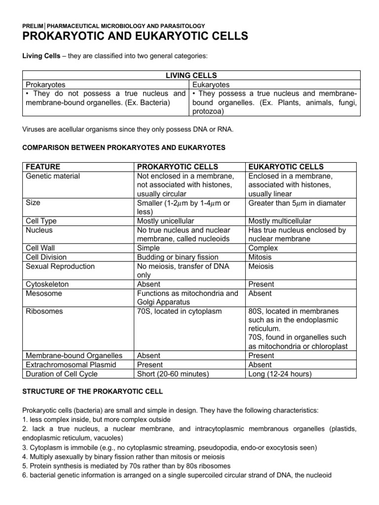 1.2 Prokaryotes and Eukaryotes | PDF | Cell (Biology) | Bacteria