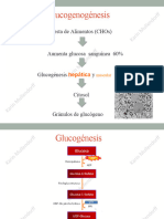 Unidad 2 Parte11 Glucógenogénesis VíaPentosas