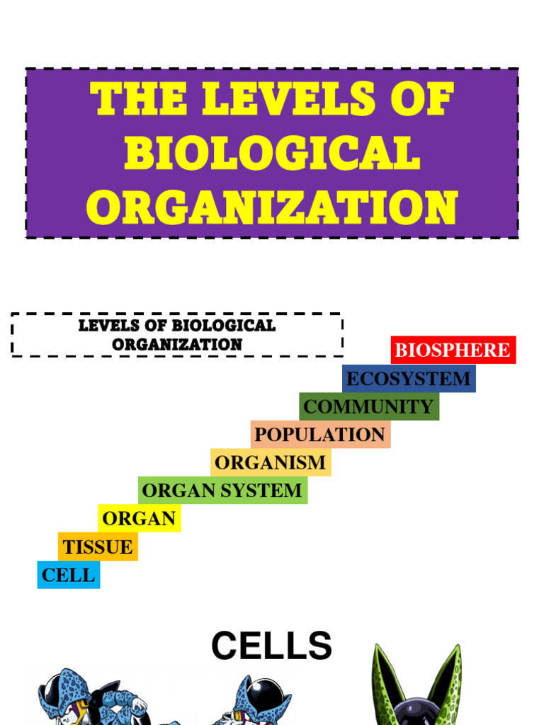 Levels Of Biological Organization Live Worksheet