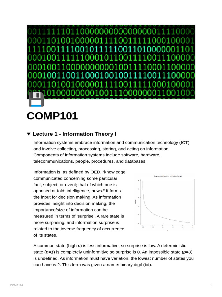 COMP101 Lecture Notes | PDF