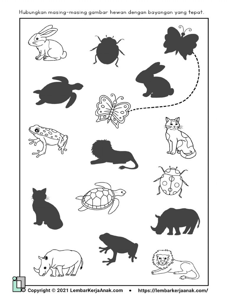 Lembar Kerja Anak TK Kognitif - Mencari Bayangan 03 | PDF