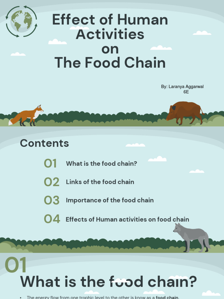 Effect of Human Activities On The Food Chain Biology Diagrams