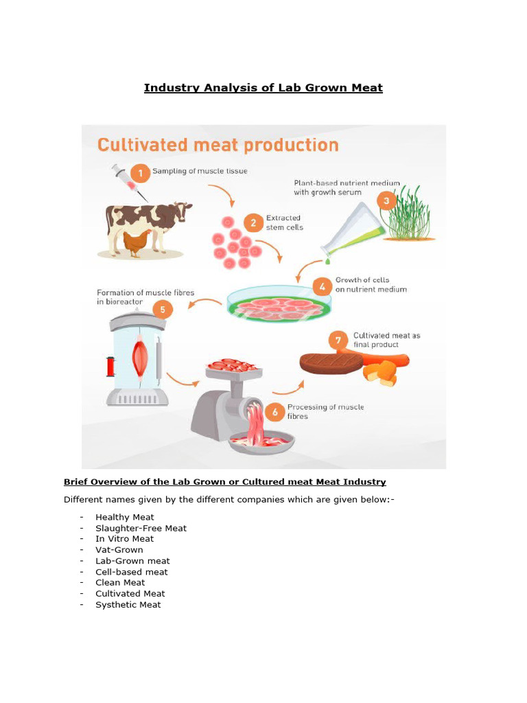 Industry Analysis of Lab Grown Meat | PDF