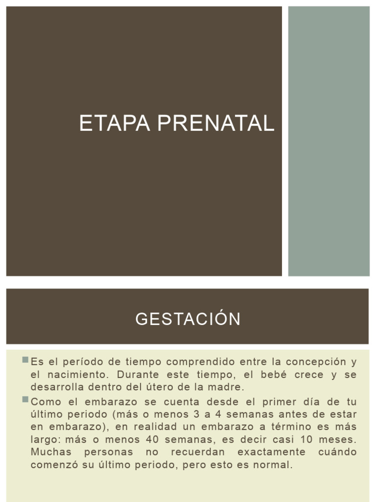 Prenatal | PDF