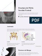 Fractura de Pelvis Seccion Uretral