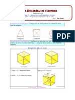 Mata10 Diagonais de Um Poligono e de Um Cubo M 1108 PDF