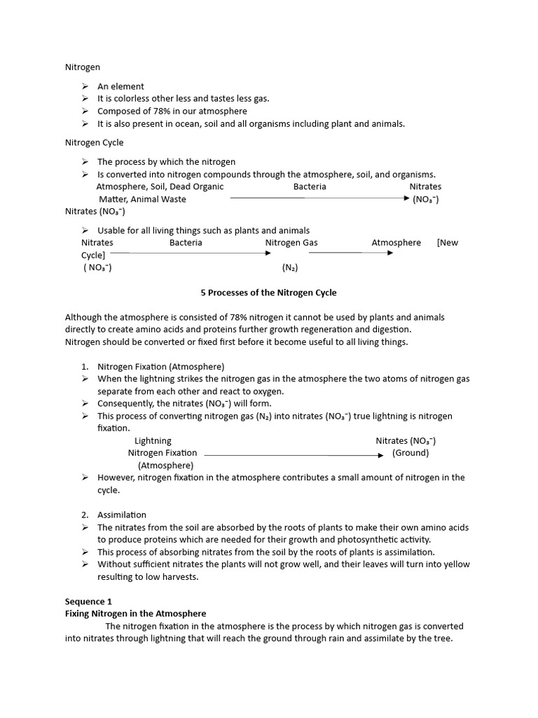 Nitrogen Cycle | PDF