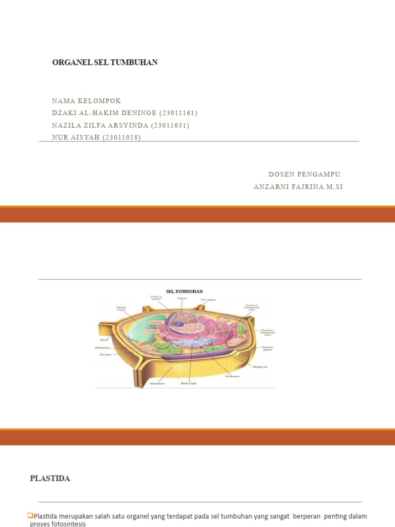 Kelompok 12 Biosel | PDF