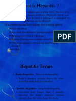 What Is Hepatitis ?