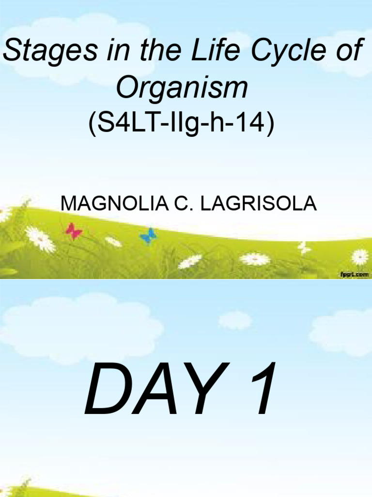 Science 4 Q2 Week 6 Pdf