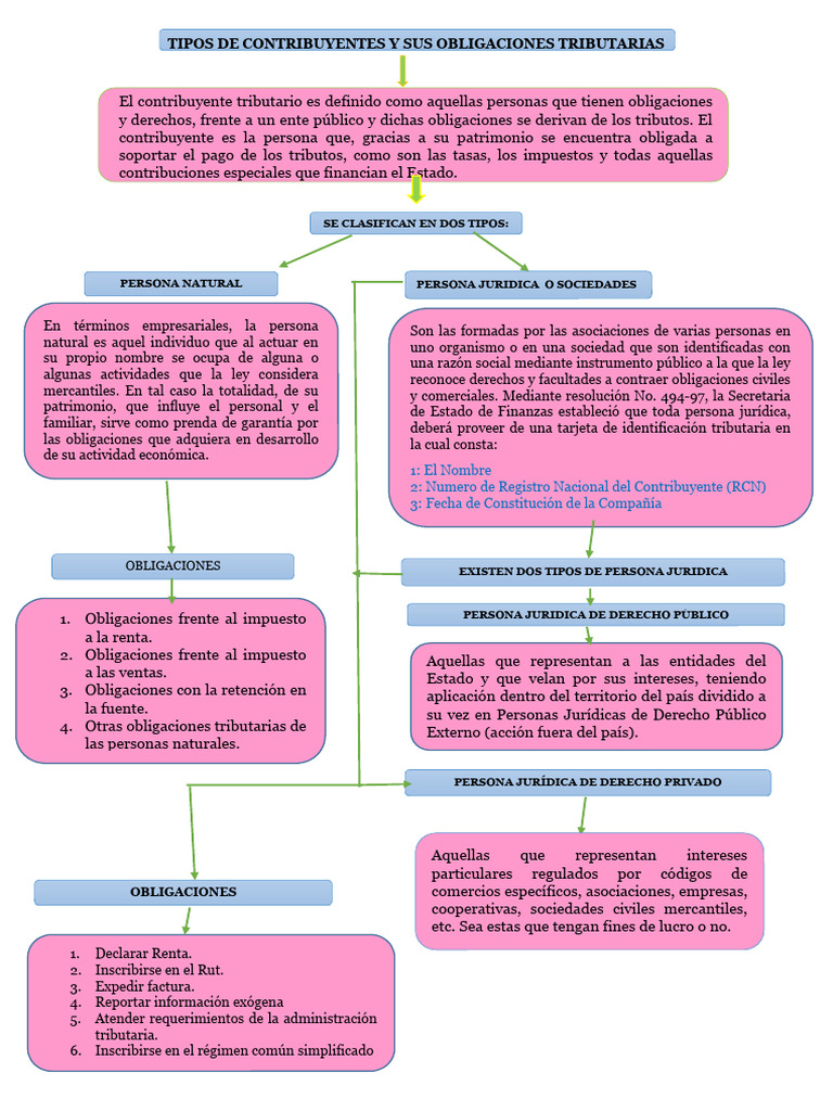 Tipos de Contribuyentes y Sus Obligaciones Tributarias | PDF