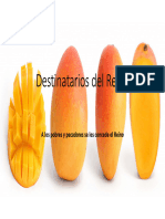 TEMA 6. Destinatarios Del Reino