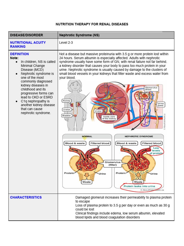 Nutrition Therapy for Kidney Diseases | PDF