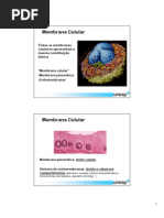 Aula 3 Membrana Celular Estrutura